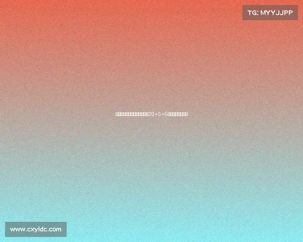 申京与东契奇领衔欧锦赛场均20+5+5成就独特历史篇章